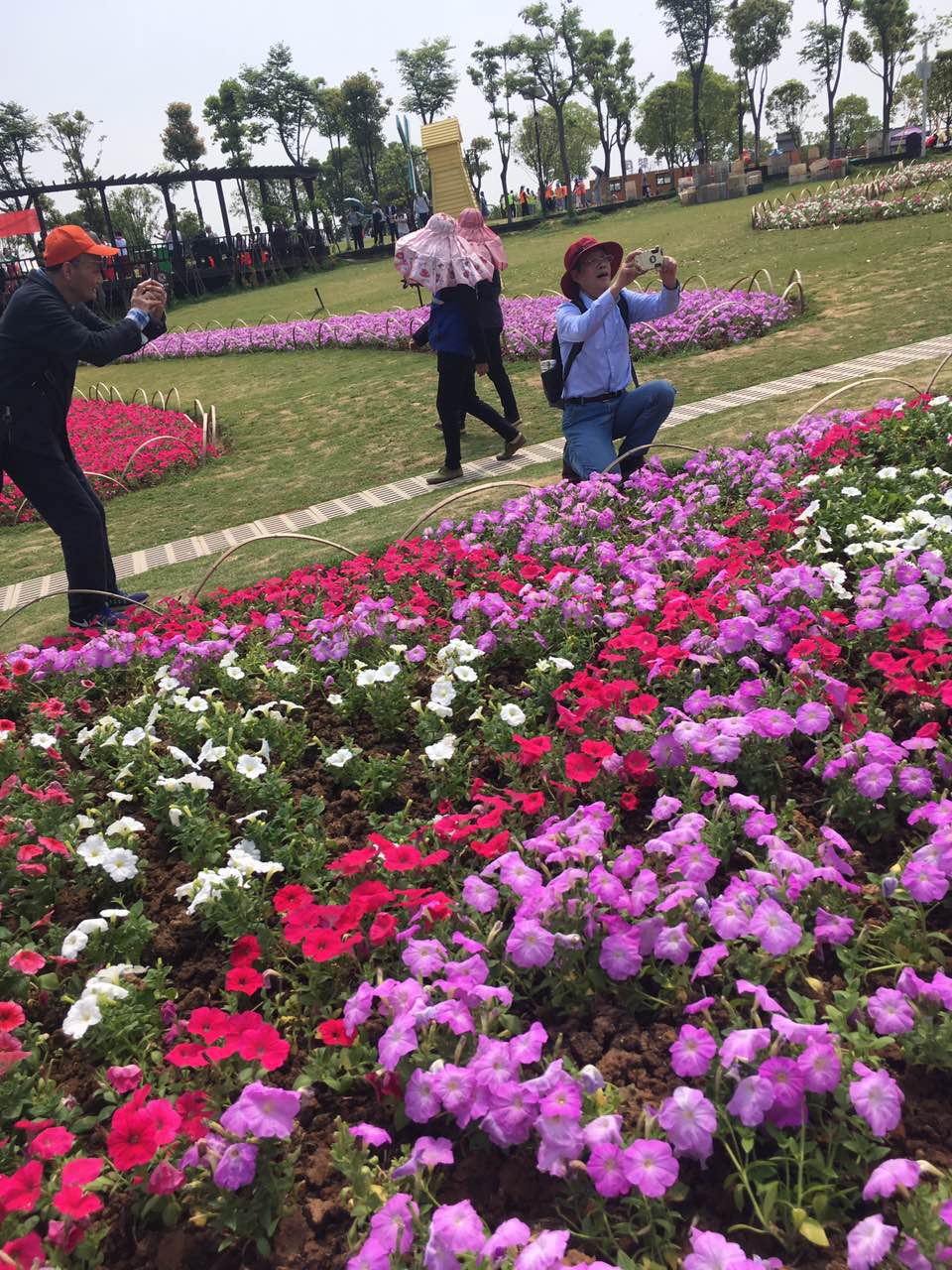 千亿国际qy18vip